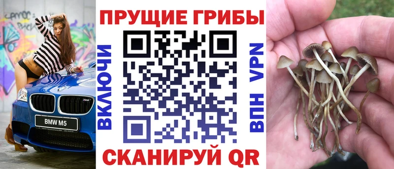 где найти   Полевской  Галлюциногенные грибы ЛСД 